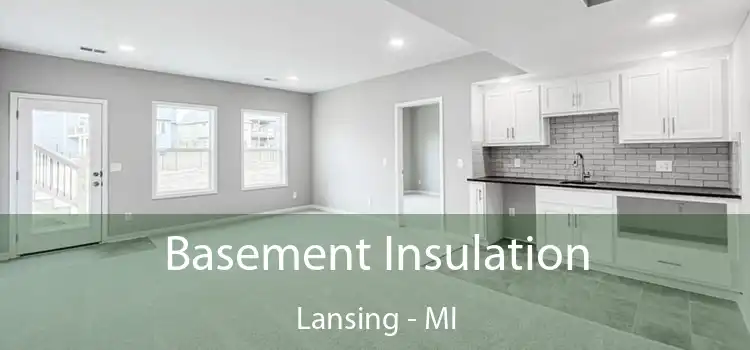 Basement Insulation Lansing - MI
