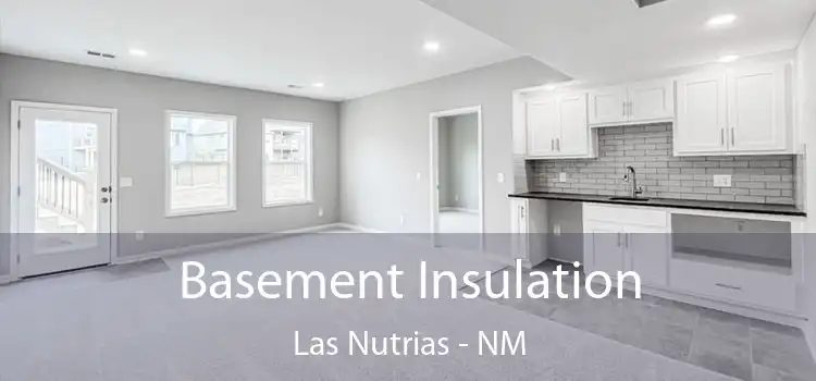 Basement Insulation Las Nutrias - NM