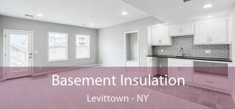 Basement Insulation Levittown - NY