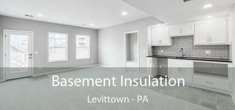 Basement Insulation Levittown - PA