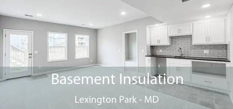  Basement Insulation Lexington Park - MD