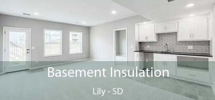 Basement Insulation Lily - SD