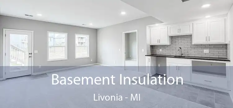 Basement Insulation Livonia - MI