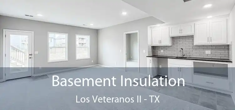 Basement Insulation Los Veteranos II - TX