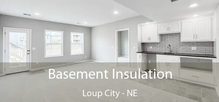 Basement Insulation Loup City - NE