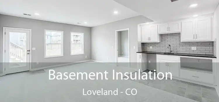  Basement Insulation Loveland - CO