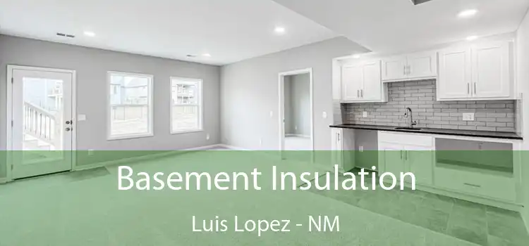 Basement Insulation Luis Lopez - NM