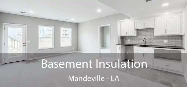 Basement Insulation Mandeville - LA