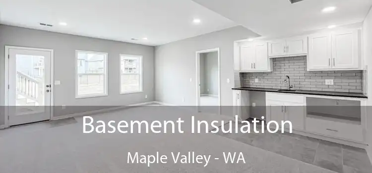 Basement Insulation Maple Valley - WA