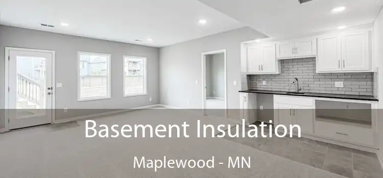  Basement Insulation Maplewood - MN