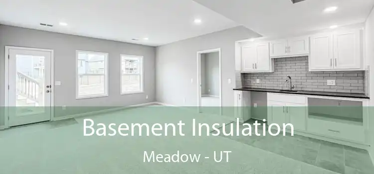 Basement Insulation Meadow - UT