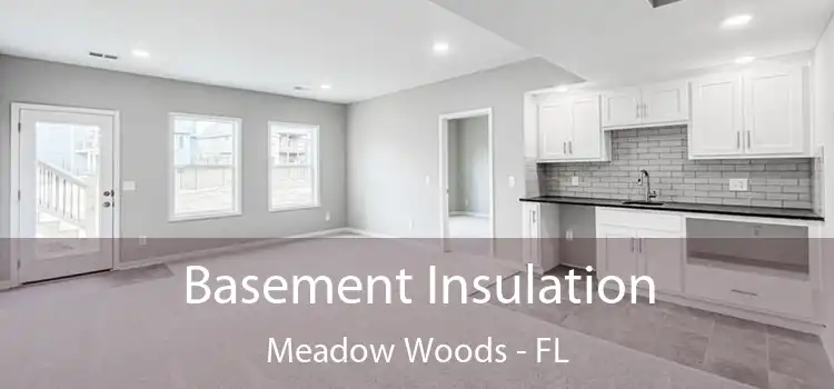  Basement Insulation Meadow Woods - FL