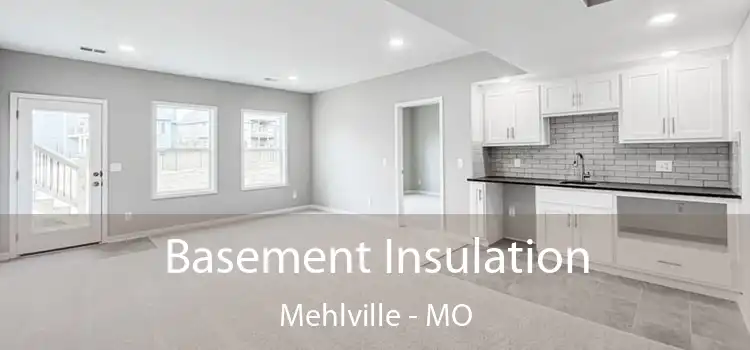 Basement Insulation Mehlville - MO