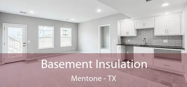 Basement Insulation Mentone - TX