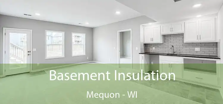 Basement Insulation Mequon - WI