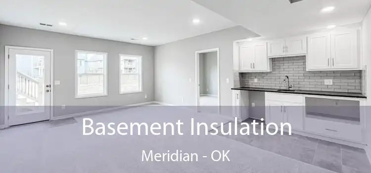  Basement Insulation Meridian - OK