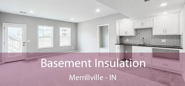 Basement Insulation Merrillville - IN