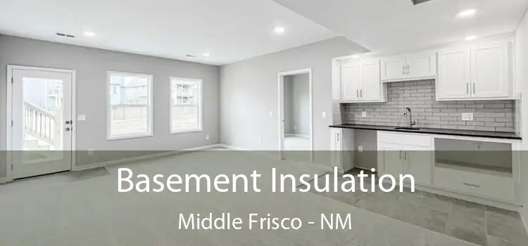 Basement Insulation Middle Frisco - NM