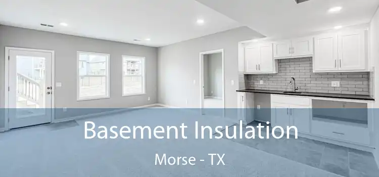 Basement Insulation Morse - TX