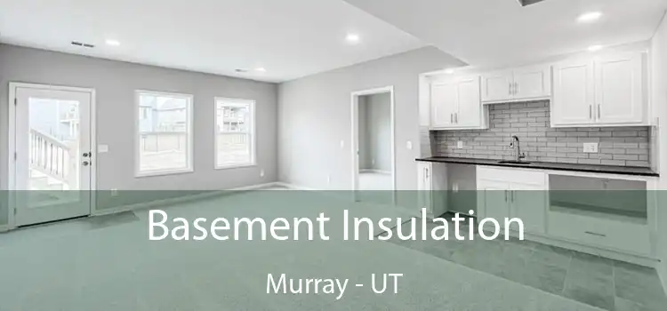 Basement Insulation Murray - UT