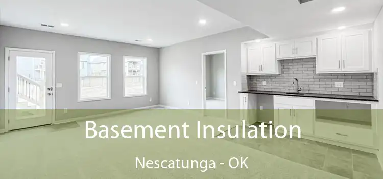 Basement Insulation Nescatunga - OK
