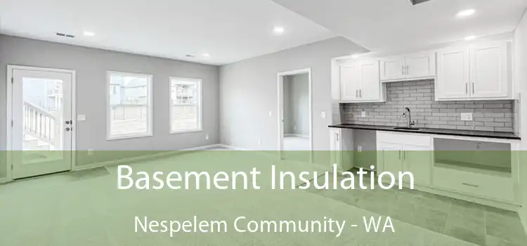 Basement Insulation Nespelem Community - WA
