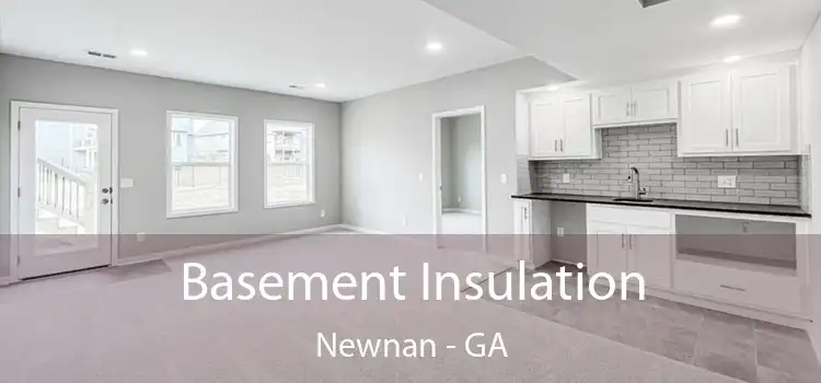 Basement Insulation Newnan - GA