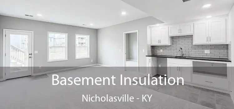 Basement Insulation Nicholasville - KY