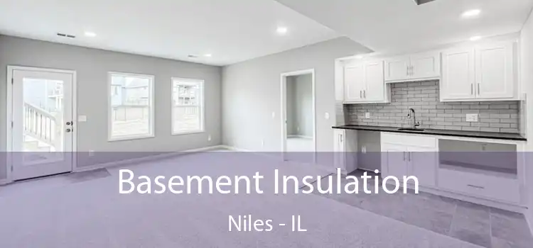  Basement Insulation Niles - IL