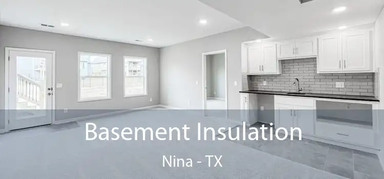 Basement Insulation Nina - TX