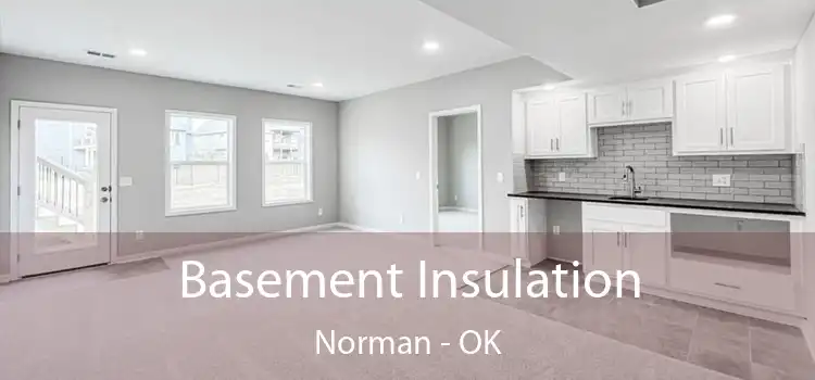Basement Insulation Norman - OK