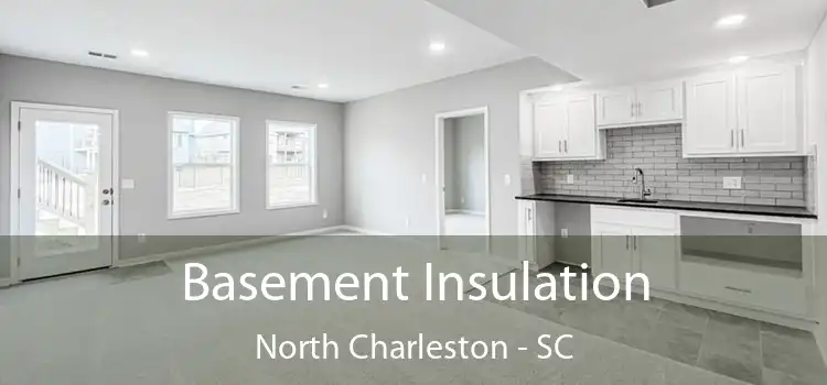 Basement Insulation North Charleston - SC