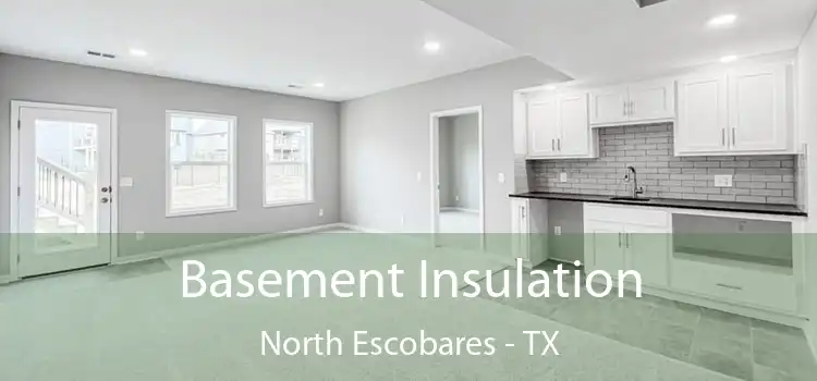  Basement Insulation North Escobares - TX