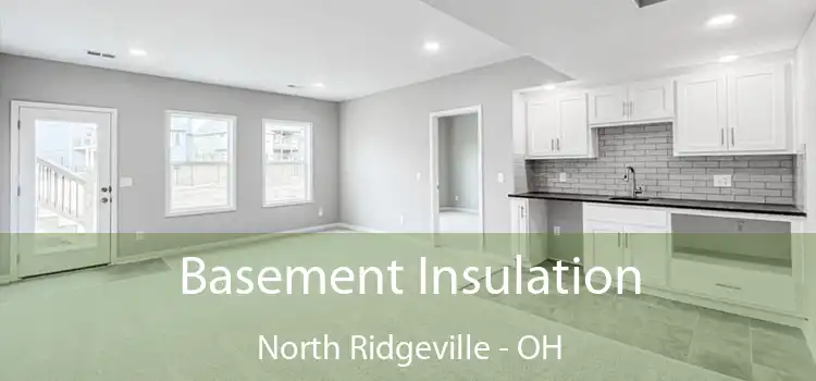 Basement Insulation North Ridgeville - OH