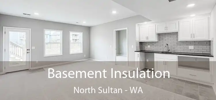 Basement Insulation North Sultan - WA