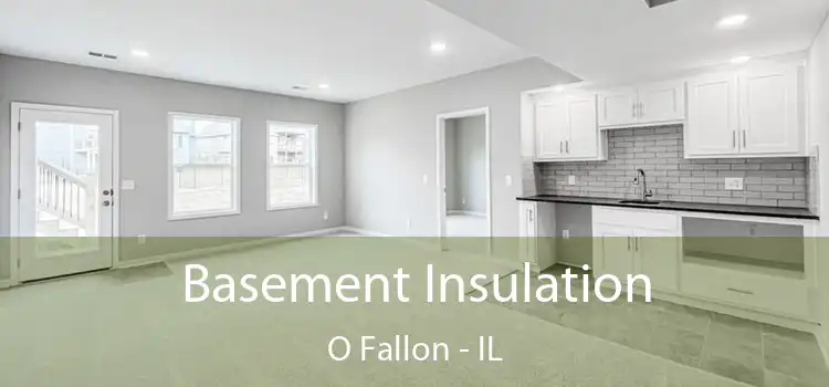  Basement Insulation O Fallon - IL