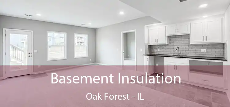  Basement Insulation Oak Forest - IL