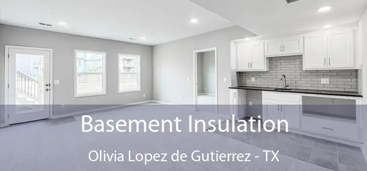 Basement Insulation Olivia Lopez de Gutierrez - TX