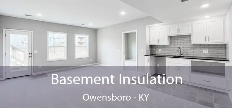 Basement Insulation Owensboro - KY