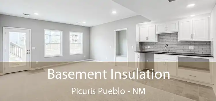 Basement Insulation Picuris Pueblo - NM