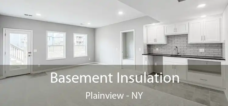  Basement Insulation Plainview - NY