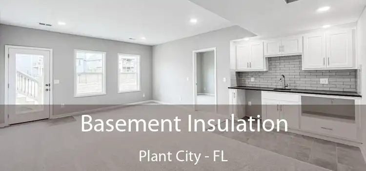 Basement Insulation Plant City - FL