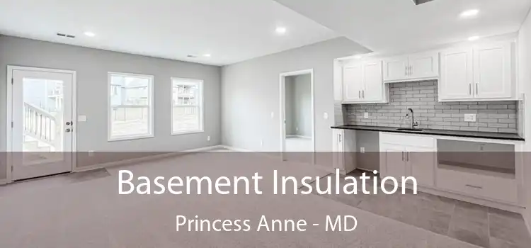 Basement Insulation Princess Anne - MD