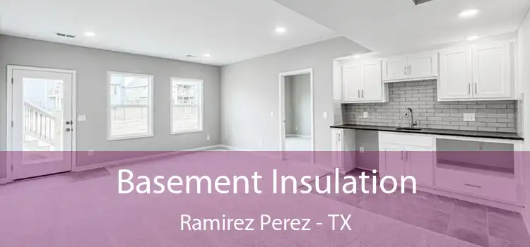 Basement Insulation Ramirez Perez - TX