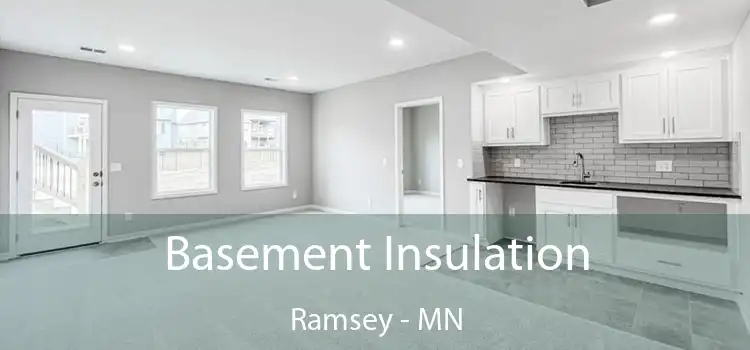  Basement Insulation Ramsey - MN