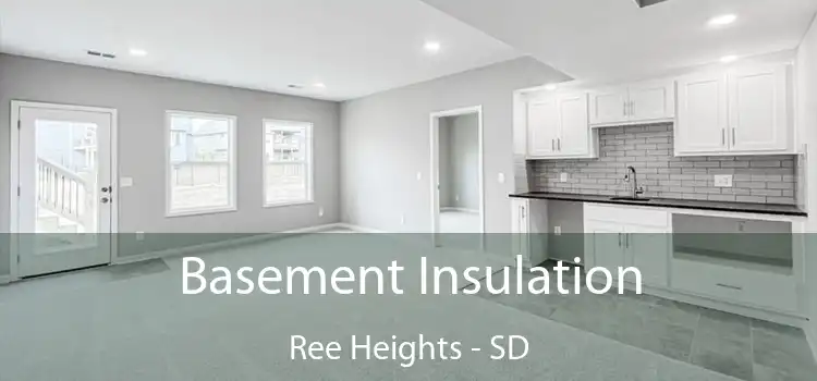  Basement Insulation Ree Heights - SD