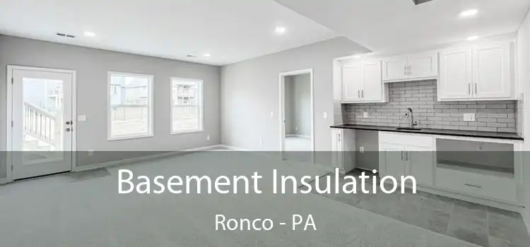 Basement Insulation Ronco - PA