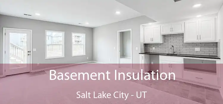 Basement Insulation Salt Lake City - UT