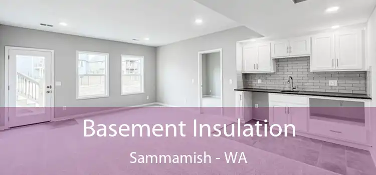 Basement Insulation Sammamish - WA