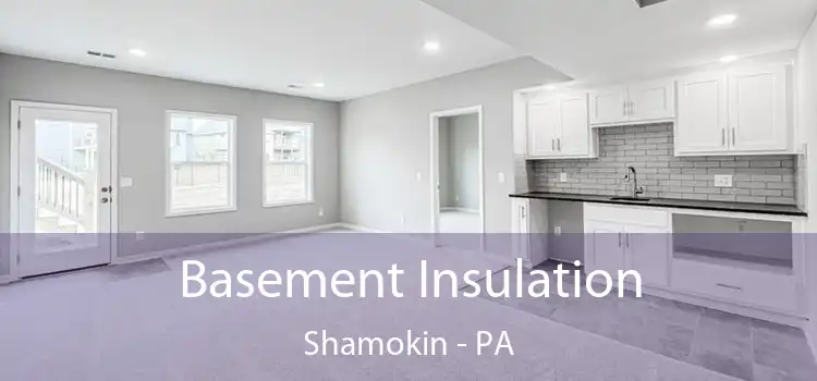 Basement Insulation Shamokin - PA
